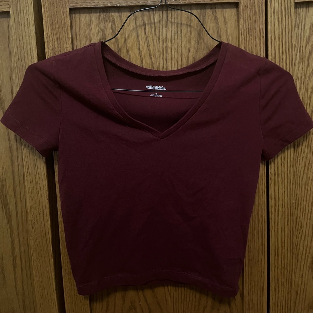 Red V-neck Cropped Shirt